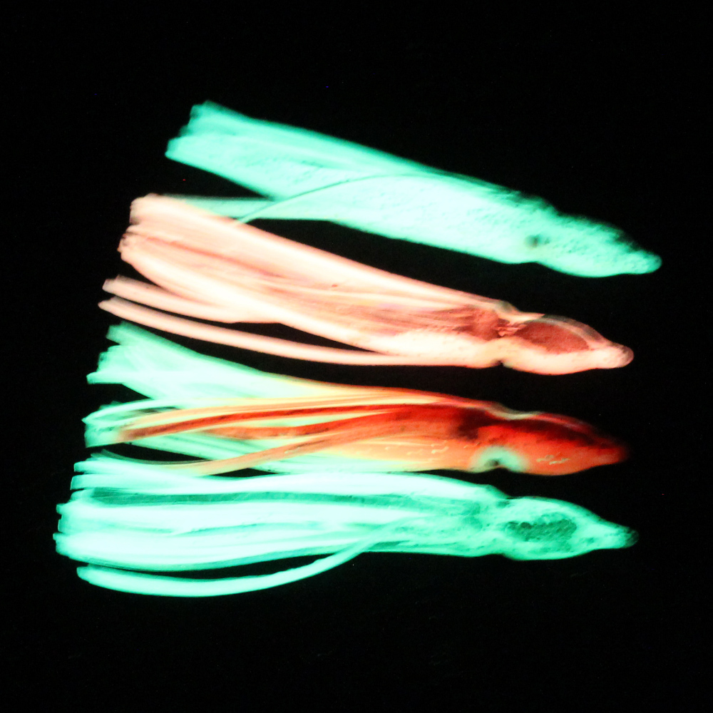 10 pcs soft light octopus squi - đánh giá và giá Fishing Lure Buzzbait
