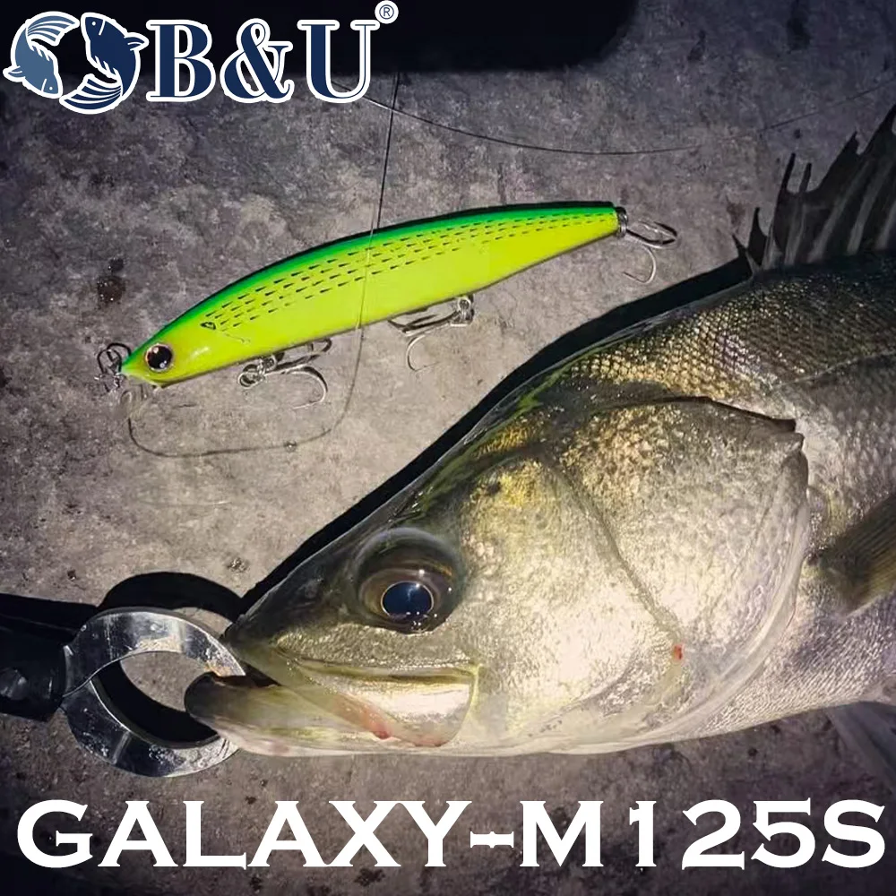 B&U 125mm Sinking Minnow Sea F - đánh giá và giá Fishing Lure Crankbait